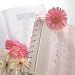 Baby's First Book - Pink Stripe Image