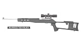 Sporting Goods : Ruger® 10/22 Fiberforce Stock