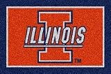 Illinois Fighting Illini 5 &acute; x 8 &acute; Team Door Mat - B0001H0J8U