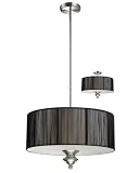 Z-Lite 173-20BK-C 4 Light Pendant in Brushed Nickel/Black