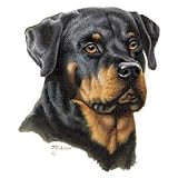 Jg Rottweiler Dog Adult Long Sleeve T-Shirt