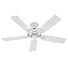 Hunter 20516 Savoy 52-Inch 5-Blade Ceiling Fan, White with White/Light Oak Blades
