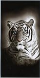Review SB Designs  / Tigers WHITE TIGER Bath or BEACH TOWEL New
