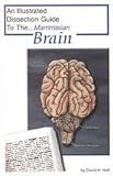 SciEd Mammalian Organ Dissection Guides; Brain