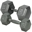 Champion Barbell 20 lbs. Solid Hex Dumbell with Ergo Grip