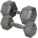 Champion Barbell 20-Pound Solid Hex Dumbell with Ergonomic Grip
