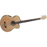 acoustic bass guitar Michael Kelly Dragonfly 5 5 String Fretless Acoustic Electric Bass Natural acoustic bass guitar