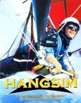 Revue Wilco  / Flight Simulator Hangsim (delta plane)