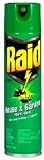 Raid House & Garden Bug Killer ~ 11 Oz
