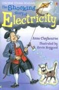 Textbook - The Shocking Story of Electricity: Internet Referenced (Young Reading)