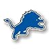 Detroit Lions 12