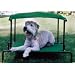 Breezy Bed - For Your Dog - Large-Green (Green) (42