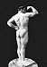 12 X 18 Stretched Canvas Poster Statuesque Back and Arm Curl