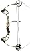 Precision Shooting Equipment Stinger Compound Bow (29-Inch/60-Pounds, Right Hand)