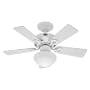 Hunter 20422 Bainbridge 1-Light 36-Inch 5-Blades Ceiling Fan