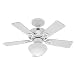 Hunter 20422 Bainbridge 1-Light 36-Inch 5-Blades Ceiling Fan