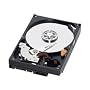 WESTERN DIGITAL 3.5�C���`����HDD 1TB SATA 5400rpm 32MB WD10EADS-M2B