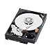 WesternDigital WD10EADS-M2B 500GBプラッタ×2 3.5インチ内蔵HDD 1TB キャッシュ32MB SeiralATA 3Gps