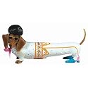 Hot Diggity Dog The King Weiner Dog