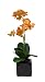 Artificial 17" Mini Phalaenopsis Orchid, Paprika