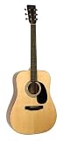 Recording King RD-316-FE2 Dreadnought with Electronics