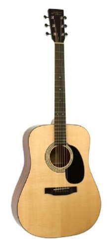 Recording King RD-316-FE2 Classic Series Dreadnought, Adirondack Top with Pickup On Sale