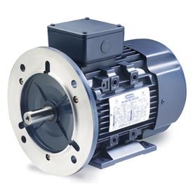 black Friday Leeson 193344 6 Metric Motor 7 5hp 975rpmB003A2L7Y8