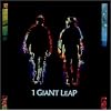 1 Giant Leap