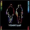 Image of album by 1 Giant Leap
