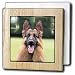 Dogs German Shepherd - German Shepherd - Tile Napkin Holders