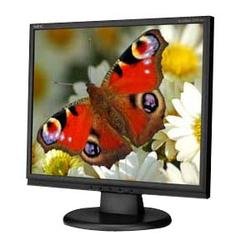 17IN LCD 700:1 1280X1025 5MS Spkrs Head Phone Tilt Screen by NEC