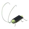 Solar Powered Grasshopper. Just Place in the Sun and Watch it's Legs Jiggle and Wiggle