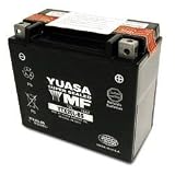 YUASA YTX14-BS Maintenance Free Battery
