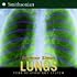 Lungs: Your Respiratory System