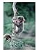 Snow Monkeys, Photographic Print by John Dominis, 18x24