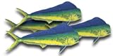 Mahi Mahi Fillet, 1 Pound
