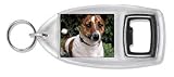 NEW-JACK RUSSELL DOG Bottle Opener