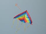 Queer China (Zhi Tong Zhi) (Home Use)