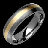 Larissa Titanium & 14K Gold Inlay Band