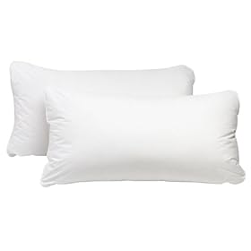 Pacific Coast Feather European Feather Pillow