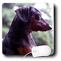 Dogs Dachshund - Black Dachshund - Mouse Pads