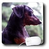 Dogs Dachshund - Black Dachshund - Mouse Pads