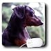 dachshund3 - Dogs Dachshund Black Dachshund Mouse Pads