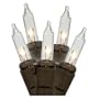 Clear String Lights Set of 100 Brown Wire