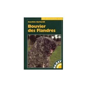 Bouvier des Flandres.