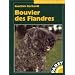 Bouvier des Flandres: Praktische Ratschl�ge f�r Haltung, Zucht, Pflege und Erziehung