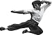 Bruce Lee - Fly- Funky Chunky Magnet