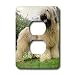 Dogs Briard - Briard - Light Switch Covers - 2 plug outlet cover