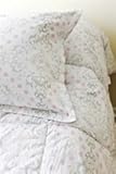 Fusionista College Comforter Set