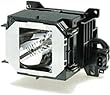 Epson Replacement Lamp - 230W UHE - 3500 Hour High Brightness Mode, 4000 Hour Low Brightness Mode